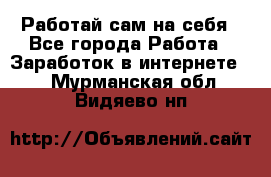 Работай сам на себя - Все города Работа » Заработок в интернете   . Мурманская обл.,Видяево нп